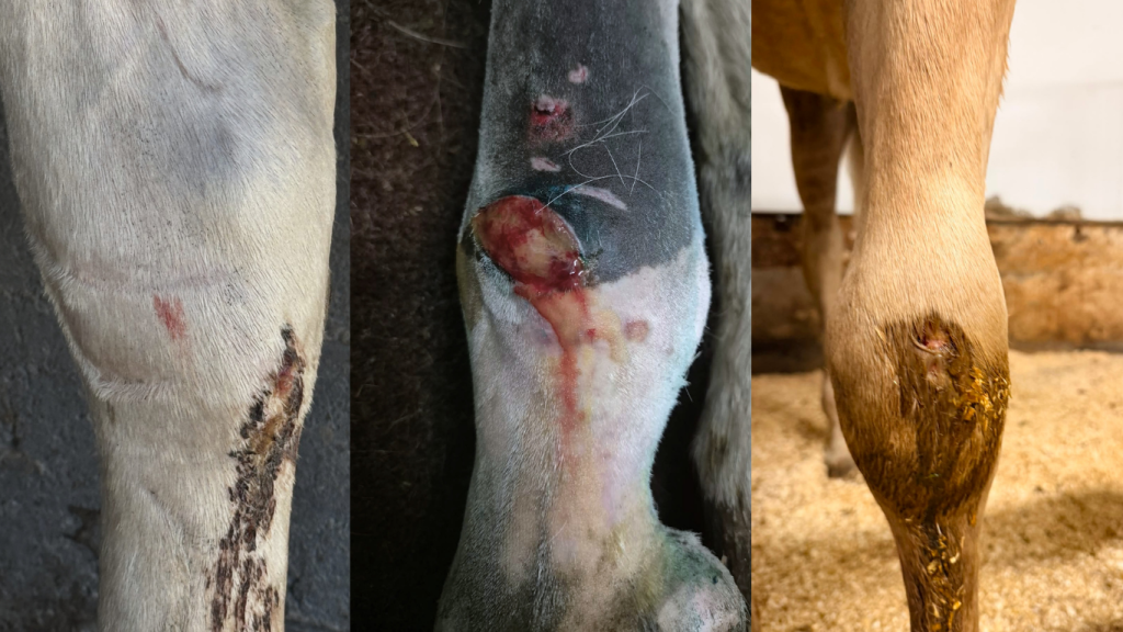 Drei verschiedene Wunden in Gelenksnähe