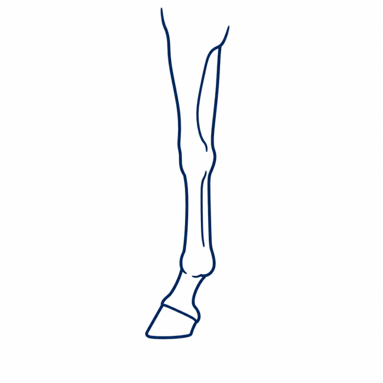 Symbol für Orthopädie bei Pferden mit stilisiertem Pferdebein